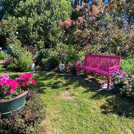 Korimako'S Nest Garden Studio Carterton Luaran gambar
