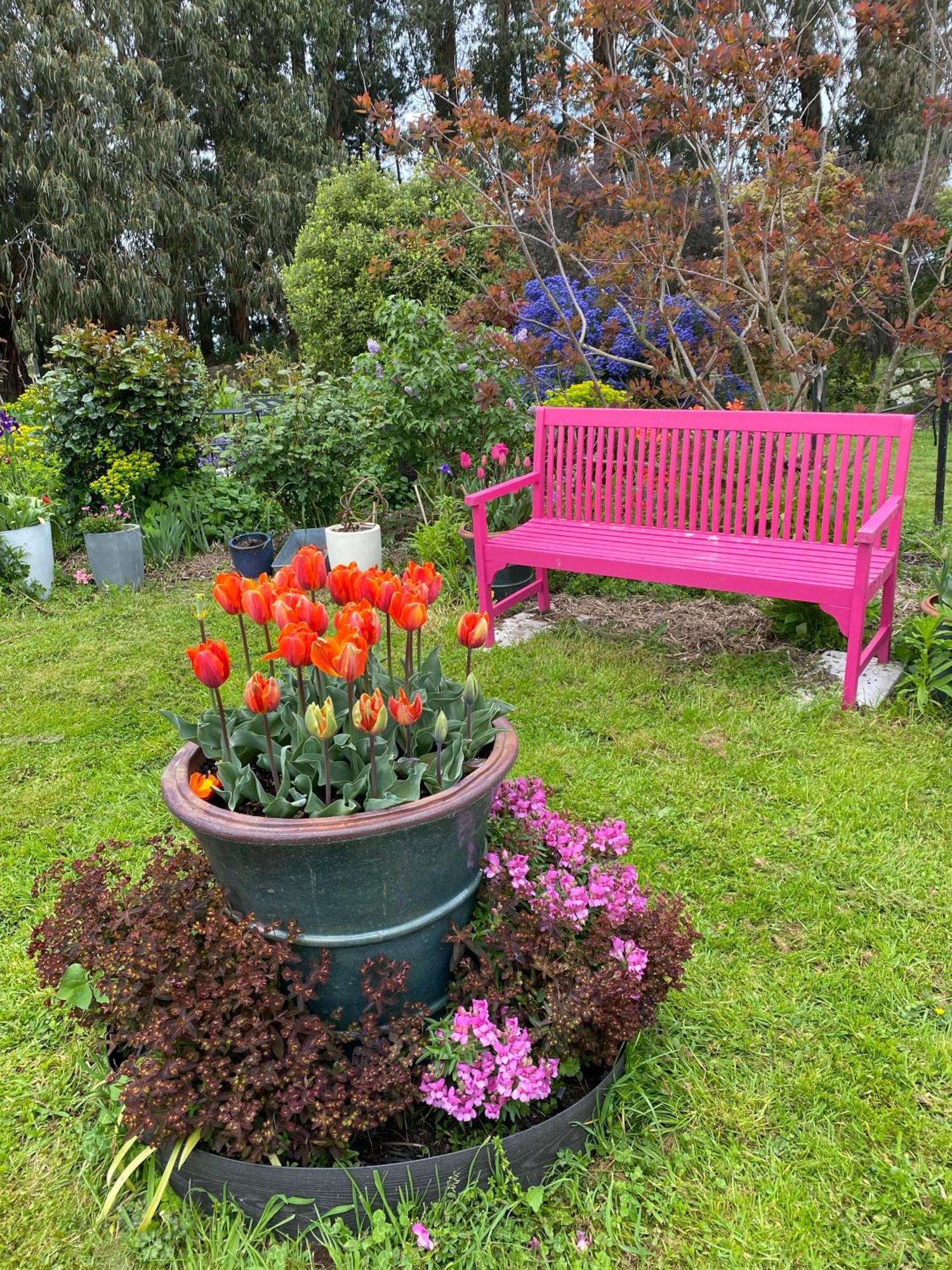 Korimako'S Nest Garden Studio Carterton Luaran gambar