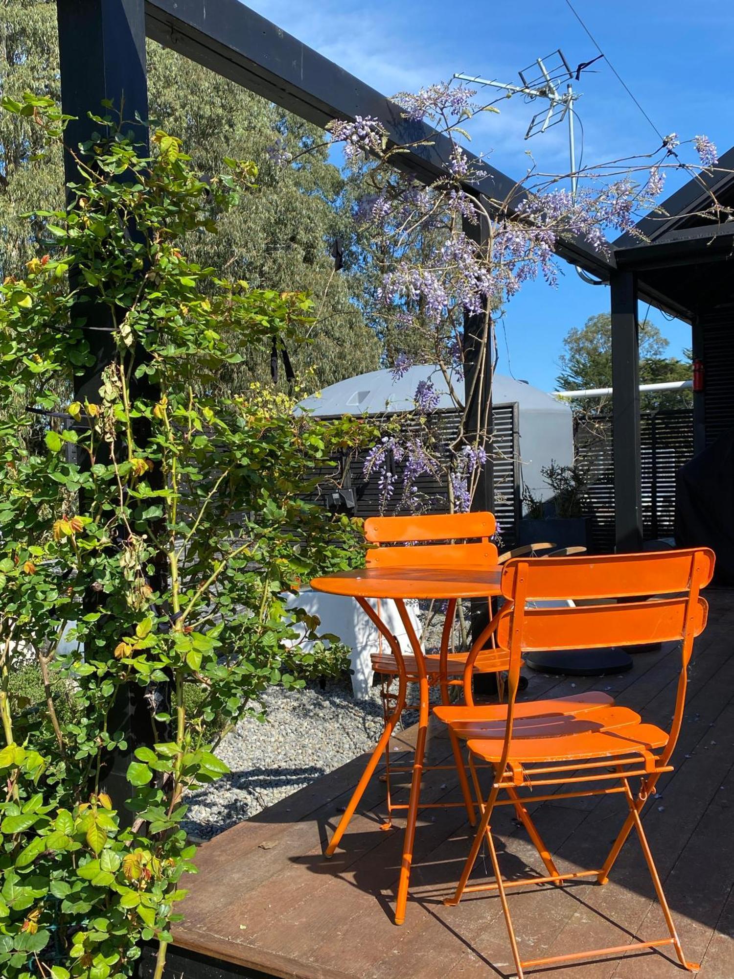 Korimako'S Nest Garden Studio Carterton Luaran gambar